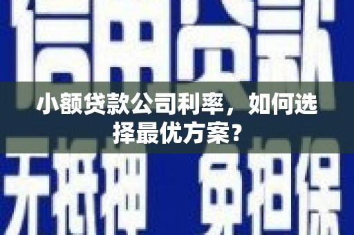 坦洲小额贷款公司利率，如何选择最优方案？