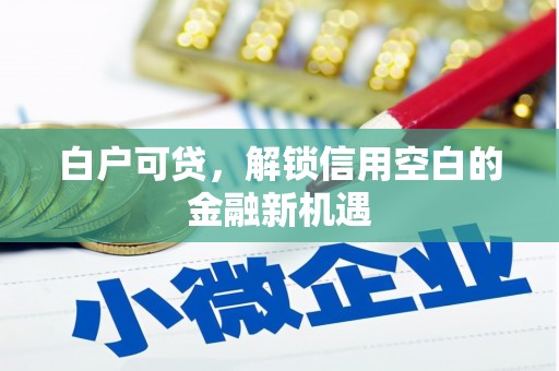 坦洲白户可贷，解锁信用空白的金融新机遇