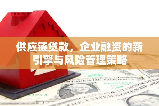 坦洲供应链贷款，企业融资的新引擎与风险管理策略