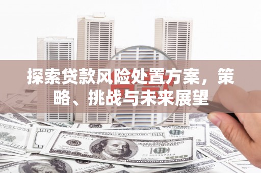 坦洲探索贷款风险处置方案，策略、挑战与未来展望