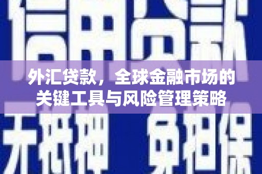 坦洲外汇贷款，全球金融市场的关键工具与风险管理策略