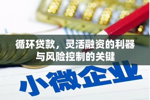 坦洲循环贷款，灵活融资的利器与风险控制的关键