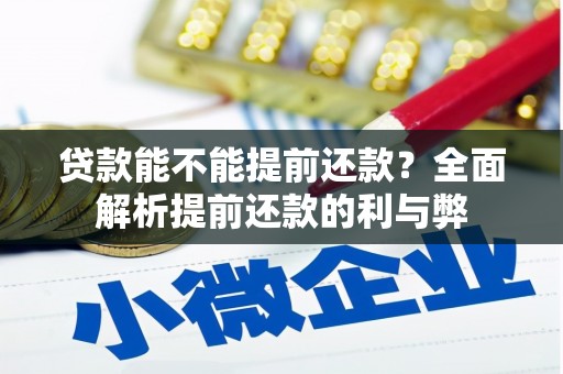 坦洲贷款能不能提前还款？全面解析提前还款的利与弊