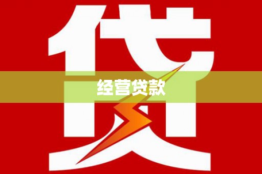 坦洲经营贷款