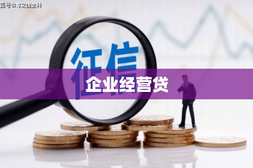 坦洲企业经营贷