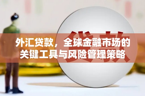 坦洲外汇贷款，全球金融市场的关键工具与风险管理策略