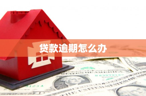 坦洲贷款逾期怎么办