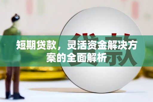 坦洲短期贷款，灵活资金解决方案的全面解析