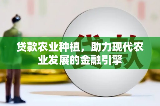 坦洲贷款农业种植，助力现代农业发展的金融引擎