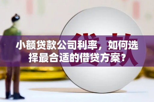 坦洲小额贷款公司利率，如何选择最合适的借贷方案？