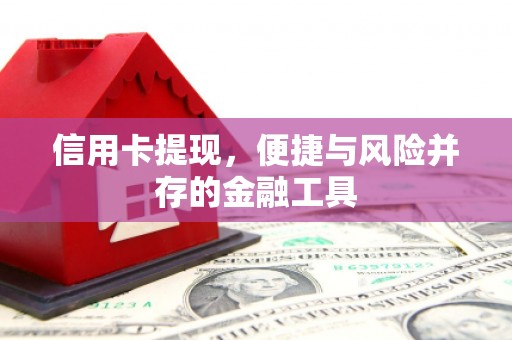 坦洲信用卡提现，便捷与风险并存的金融工具