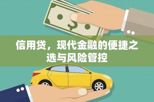 坦洲信用贷，现代金融的便捷之选与风险管控