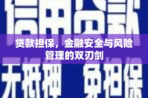坦洲贷款担保，金融安全与风险管理的双刃剑