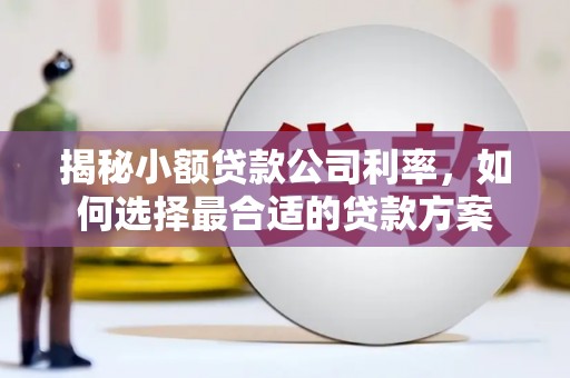 坦洲揭秘小额贷款公司利率，如何选择最合适的贷款方案