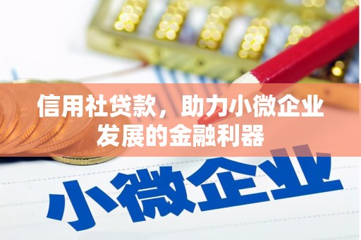坦洲信用社贷款，助力小微企业发展的金融利器