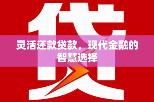 坦洲灵活还款贷款，现代金融的智慧选择