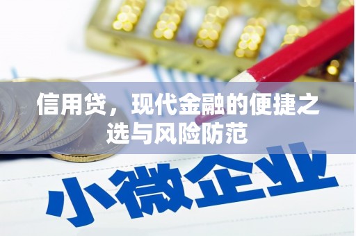 坦洲信用贷，现代金融的便捷之选与风险防范