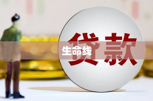 坦洲生命线