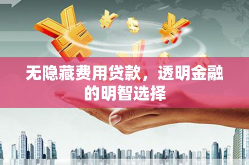 坦洲无隐藏费用贷款，透明金融的明智选择
