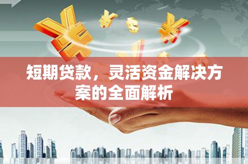 坦洲短期贷款，灵活资金解决方案的全面解析