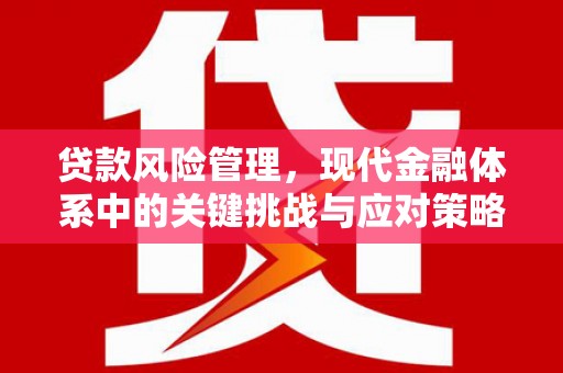 坦洲贷款风险管理，现代金融体系中的关键挑战与应对策略