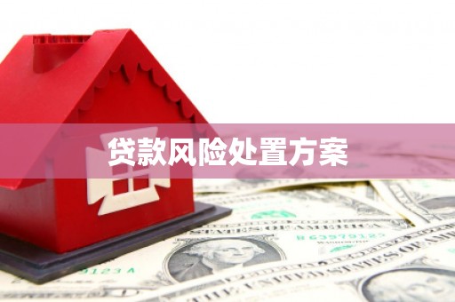 坦洲贷款风险处置方案