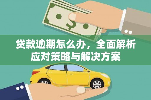 坦洲贷款逾期怎么办，全面解析应对策略与解决方案