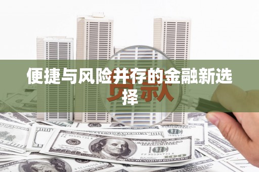 坦洲便捷与风险并存的金融新选择