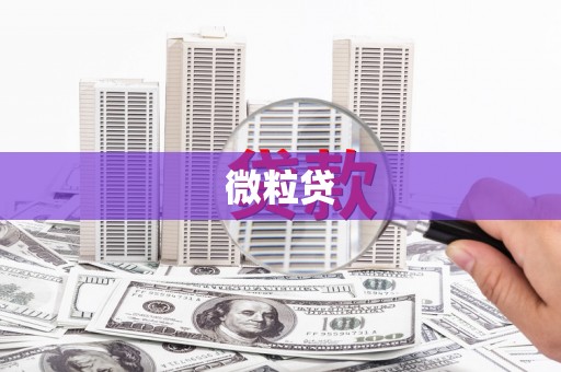 坦洲微粒贷
