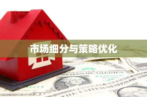 坦洲市场细分与策略优化