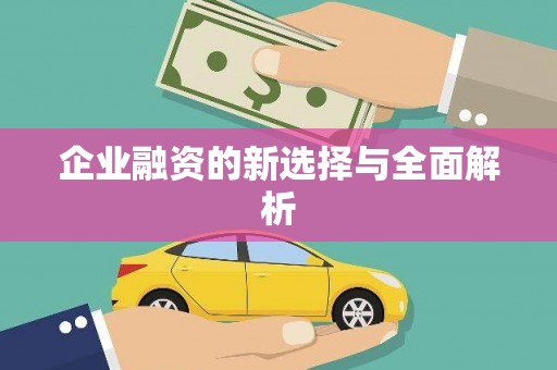 坦洲企业融资的新选择与全面解析