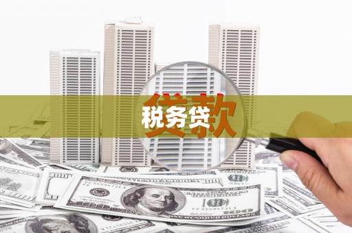 坦洲税务贷